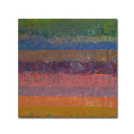 Michelle Calkins 'Pink Line' Canvas Art,24x24